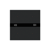 X7 双键智能开关 (PTX)