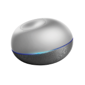 Rokid Pebble