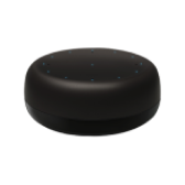 Rokid Mini
